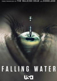 Падающая вода (2016)
